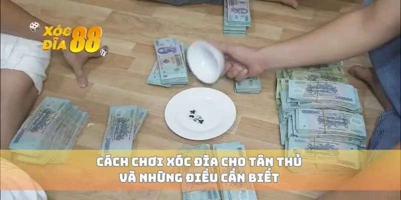 Cách chơi xóc đĩa cho tân thủ và những điều cần biết